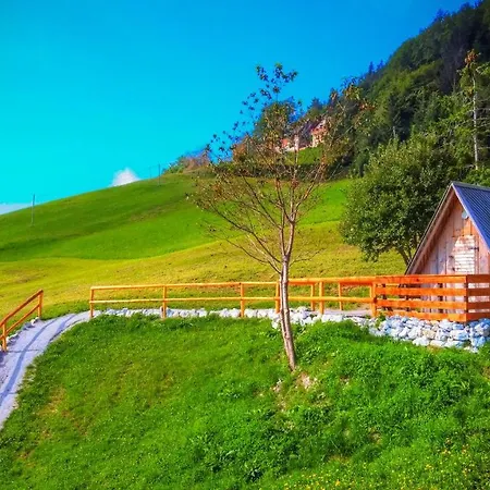 Glamping Vrhovc